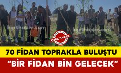 KMÜ’de 70 çınar fidanı toprakla buluştu