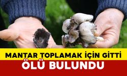 Mantar toplamak için gittiği arazide ölü bulundu