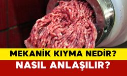 Mekanik Kıyma Nedir? Nasıl Anlaşılır?