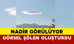 Nadir görülüyor görsel şölen oluşturdu