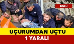 Otomobil 5 metre uçurumdan aşağı uçtu: 1 yaralı