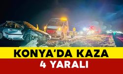 Otomobil kontrolden çıktı: 4 yaralı