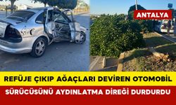 Refüje çıkıp ağaçları deviren otomobil sürücüsünü aydınlatma direği durdurdu