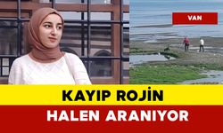 Rojin Kabaiş arama çalışmaları devam ediyor son durum ne?