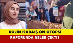 Rojin Kabaiş ön otopsi raporunda neler çıktı?