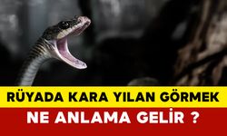 Rüyada Kara Yılan Görmek Ne Anlama Gelir?