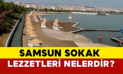 Samsun sokak lezzetleri nelerdir?