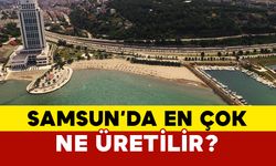 Samsun’da en çok ne üretiliyor?