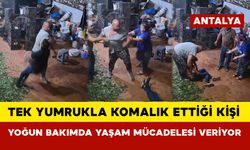 Tek yumrukla komalık ettiği kişi yoğun bakımda yaşam mücadelesi veriyor