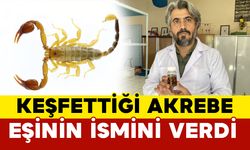 Türkiye’de yeni bir akrep türü keşfedildi