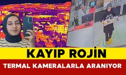 Van’da kaybolan Rojin termal kameralar ile aranıyor