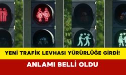 Yeni trafik levhası yürürlüğe girdi! Anlamı belli oldu