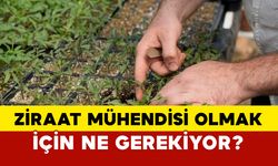 Ziraat mühendisi olmak için ne gerekiyor?