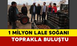 1 Milyon Lale Soğanı Toprakla Buluştu