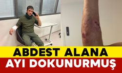 Abdest almaya giderken ayı saldırısına uğrayan şahıs yaralandı