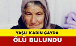 Gaziantep'yeaber alınamayan yaşlı kadın çayda ölü bulundu