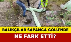 Balıkçılar Sapanca Gölü’nde ne fark etti?