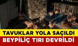 Beypiliç’in tavuk yüklü kamyonu devrildi: Yüzlerce tavuk telef oldu