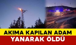 Elektrik direğinde akıma kapılan şahıs yanarak öldü