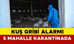 Eskişehir’de kuş gribi alarmı: 5 mahalle karantinada