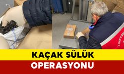 İstanbul Havalimanı'nda 8.34 Kilogram Kaçak Tıbbi Sülük Ele Geçirildi