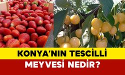 Konya'nın tescilli meyvesi nedir?