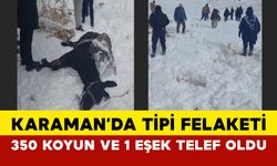 Karaman Ayrancı’da Tipi Felaketi: 350 Koyun ve Bir Eşek Telef Oldu