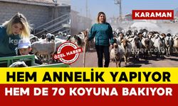 Karaman'da üniversite mezunu 30 yaşındaki kadın hem annelik yapıyor hem 70 koyuna bakıyor