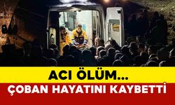 Kaya parçalarının altında kalan çoban hayatını kaybetti