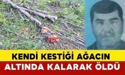 Kendi Kestiği Ağacın Altında Kaldı: Hayatını Kaybetti