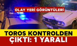 Otomobil ağaca çarptı: 1 yaralı OLAY YERİ GÖRÜNTÜLERİ