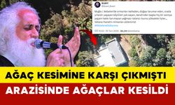 Suavi’nin Bodrum’daki arazisinde 40 ağaç kesildi