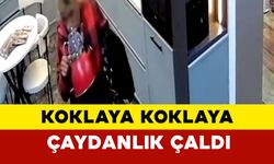 Tekirdağ'da İlginç Hırsızlık: Çaydanlığı Koklaya Koklaya Çaldı