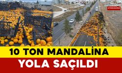 Tır Kazası: 10 Ton Mandalina Yola Saçıldı