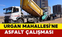 Urgan Mahallesi’nde Sıcak Asfalt Çalışması