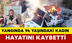 94 yaşındaki kadın hayatını kaybetti 2 ev tamamen yandı