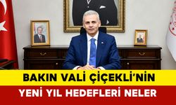 Bakın Vali Çiçekli'nin 2025 hedefleri neler