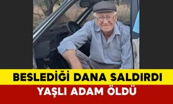 Beslediği dananın saldırısına uğradı, yaşlı adam hayatını kaybetti