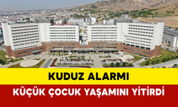 Elazığ’da Kuduz Alarmı: Küçük Çocuk Yaşamını Yitirdi