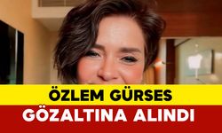 Gazeteci Özlem Gürses gözaltına alındı