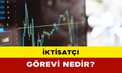 İktisatçı Görevi Nedir?