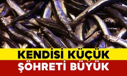 Kendisi küçük ama şöhreti büyük