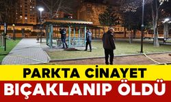 Parkta Cinayet: Bıçaklanıp Hayatını Kaybetti