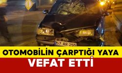 Sinop’ta otomobilin çarptığı yaya öldü