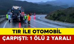 Tır ile otomobil kafa kafaya çarpıştı: 1 ölü, 2 yaralı