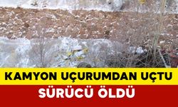 Virajı alamayan kamyon 100 metrelik uçurumdan uçtu, sürücü hayatını kaybetti