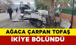 Ağaca çarpan Tofaş ikiye bölündü