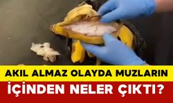 Akıl almaz olayda muzların içinden neler çıktı?