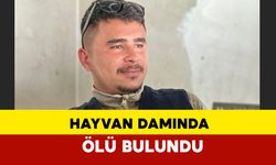 Aydın’da 25 Yaşındaki Genç Hayvan Damında Ölü Bulundu