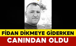 Fidan dikmeye giderken canından oldu